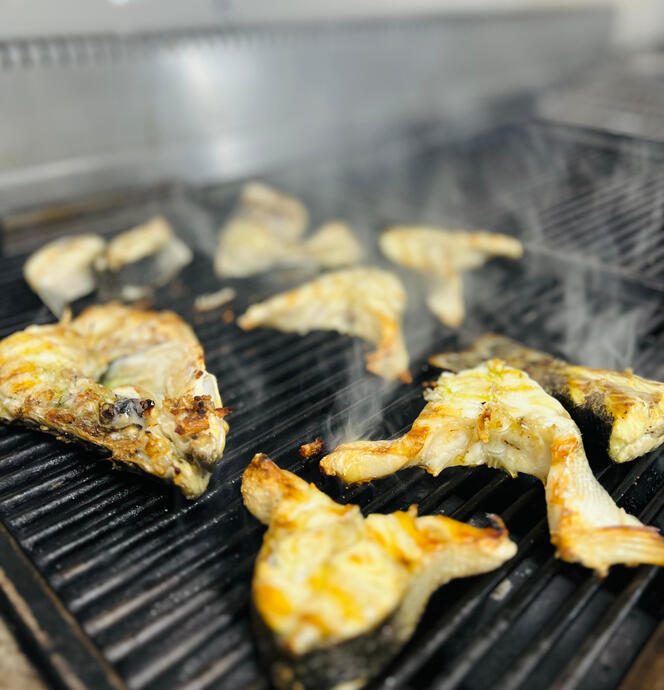 Fresh grilled fish